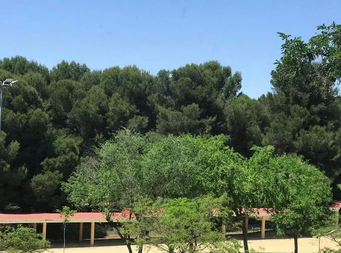 Estudio Loft En El Centro 4 Personas Cama Doble Y Sofa Nuevo De Cama Doble Check In A Partir De 15 Pm O Antes Si Estuviera Libre Con Wifi Grandes Ventanales Lejlighed *